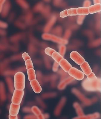 The Systemic Impact of Streptococcal Infections.